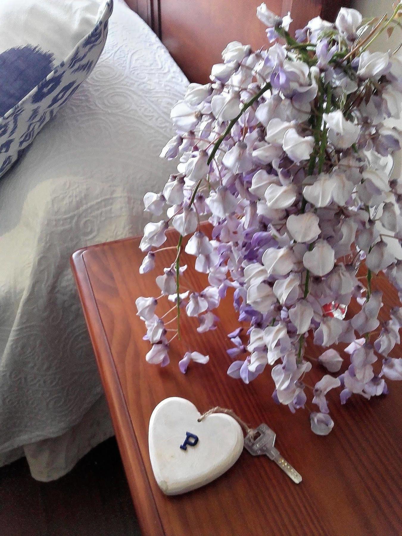 Hotel El Panorama Тапиа де Касариего Екстериор снимка